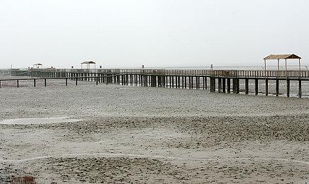 《夏洛克·福尔摩斯：第一章》预告之侦查篇